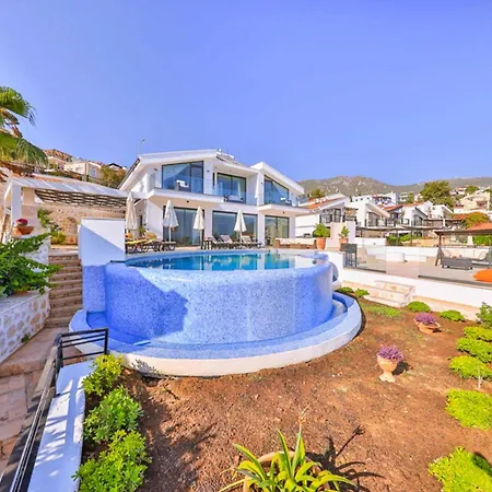 Morey * Kalkan